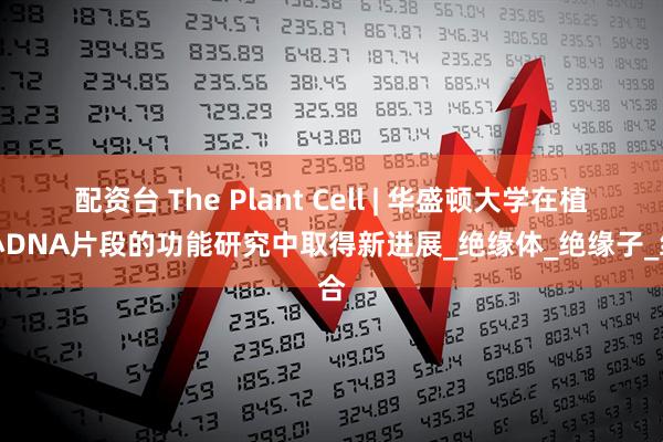 配资台 The Plant Cell | 华盛顿大学在植物小DNA片段的功能研究中取得新进展_绝缘体_绝缘子_组合