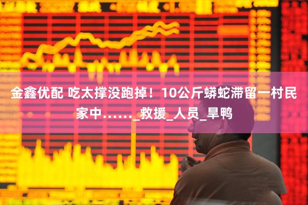金鑫优配 吃太撑没跑掉！10公斤蟒蛇滞留一村民家中……_救援_人员_旱鸭