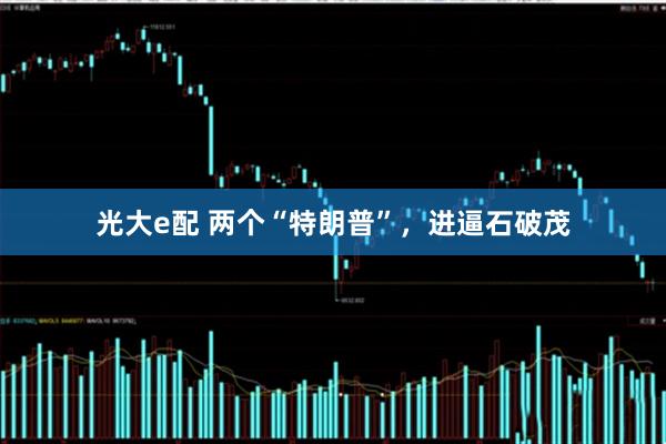 光大e配 两个“特朗普”，进逼石破茂