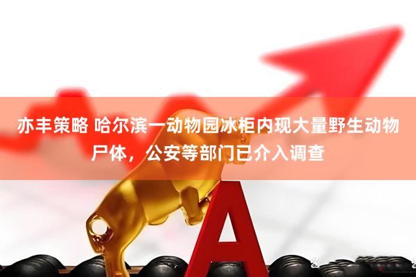 亦丰策略 哈尔滨一动物园冰柜内现大量野生动物尸体，公安等部门已介入调查