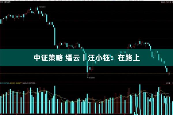 中证策略 缙云丨汪小钰：在路上