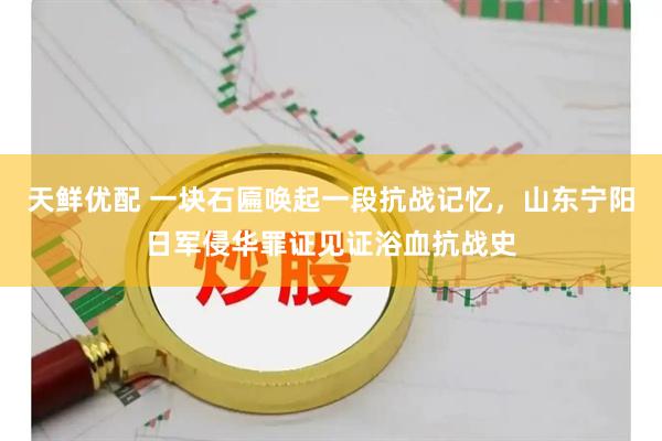 天鲜优配 一块石匾唤起一段抗战记忆，山东宁阳日军侵华罪证见证浴血抗战史