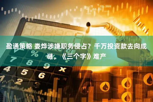 盈通策略 娄烨涉嫌职务侵占？千万投资款去向成谜，《三个字》难产