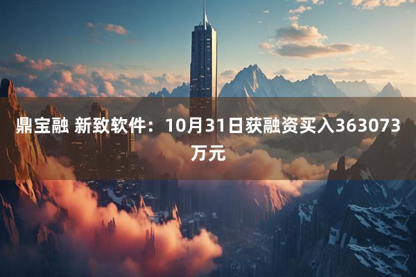 鼎宝融 新致软件：10月31日获融资买入363073万元